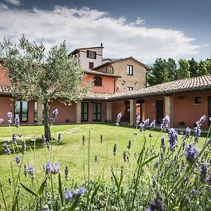 Appartamenti Poggio Fiorito